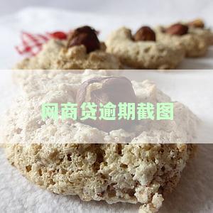 网商贷逾期截图