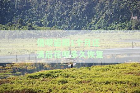 借呗逾期一个月全部还清会被记录成黑户吗