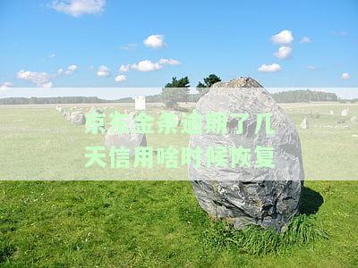 京东金条逾期了几天信用啥时候恢复正常，逾期多久上征信及后果严重？