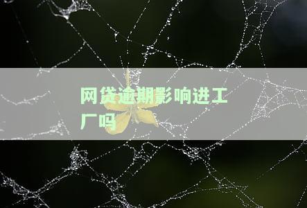 网贷逾期影响工作和五险怎么办？