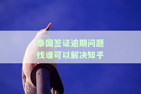 泰国签证逾期后果及处理方式