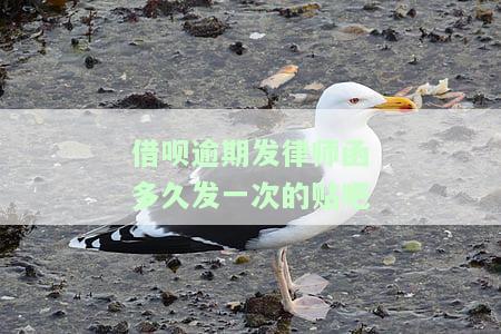 借呗逾期发律师函了怎么办，后果严重吗？