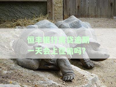 恒丰银行房贷逾期一天会上征信吗怎么办及相关管理办法