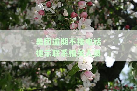 美团逾期不接电话提示联系相关人员怎么办？