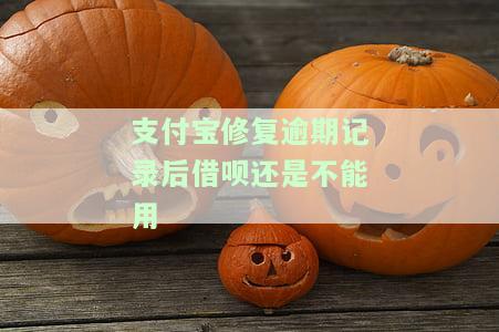 支付宝修复逾期记录后借呗不能用怎么回事