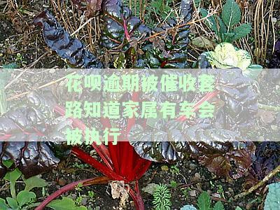 花呗欠款催收电话是否会告知家人欠款情况，是否违法？