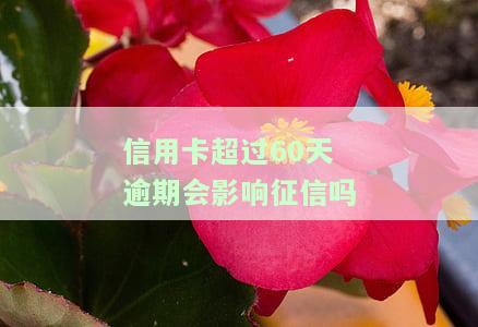 信用卡超过60天逾期会影响征信吗知乎怎么办？