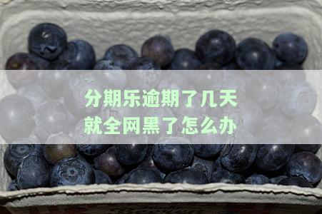 分期乐逾期了几天就全网黑了怎么办
