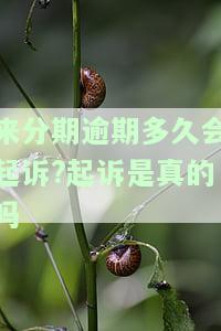 ‘’这些标题合成一个完整且包含全部意思的标题并把和这个标题不相关的字去掉，长度不能大于70个字节，并且标题必须包含且用‘来分期逾期多久会起诉起诉是真的吗还是假的’开头’’