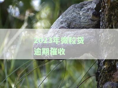 微粒贷过年催款：借款逾期，急需还款