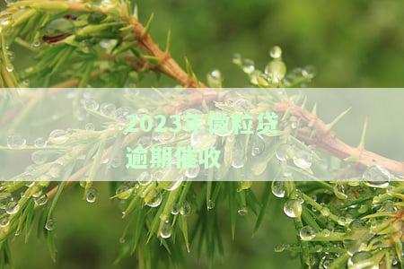2023年微粒贷逾期催收