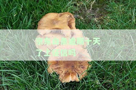 逾期十天了上征信有影响吗？怎么办？