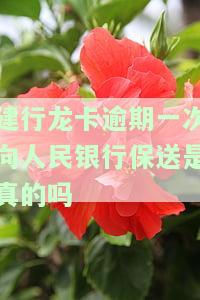 建行龙卡逾期一次向人民银行保送是真的吗？是安全的吗？还有额度吗？