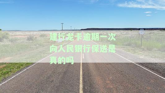 建行龙卡误险购买及理赔详情