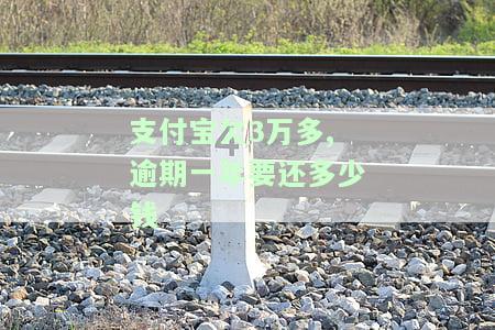 支付宝欠3万多,逾期一年要还多少钱呢，孩子会怎么样？