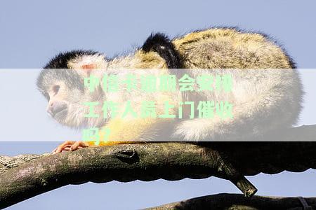 中信卡逾期会安排工作人员上门催收吗是真的吗?逾期可以协商解决吗?