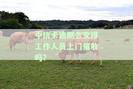 中信卡逾期会安排工作人员上门催收吗？知乎有没有中信银行信用卡逾期被上门催收的相关经验？
