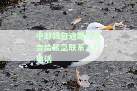 中邮钱包逾期几天会上征信爆通讯录吗及应对方法？