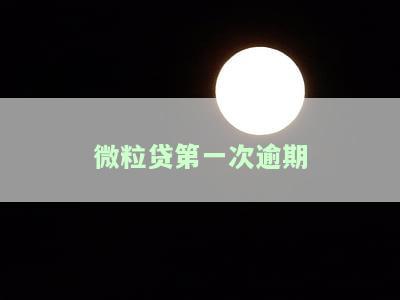 微粒贷第一次逾期两天的影响和处理方法