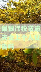 中国银行税贷逾期几天会上个人征信报告吗