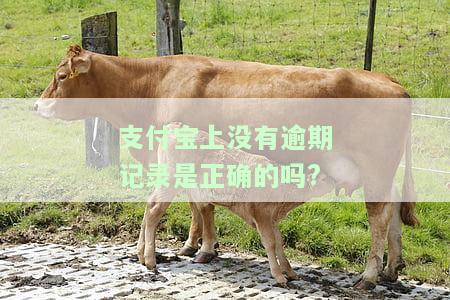 支付宝上没有逾期记录是正确的吗?