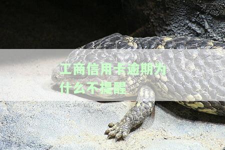 工商信用卡显示已逾期，如何处理卡状态异常？