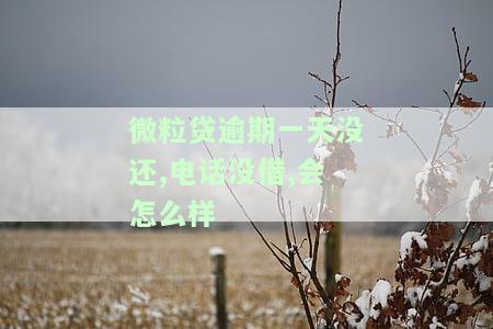微粒贷逾期一天以后还能不能借