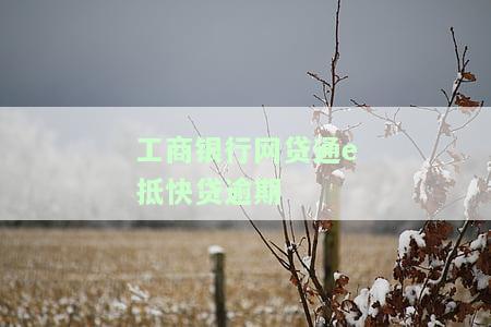 工商银行网贷通e抵快贷多久能有结果，工行网贷通e抵快贷审核8天还在受理中