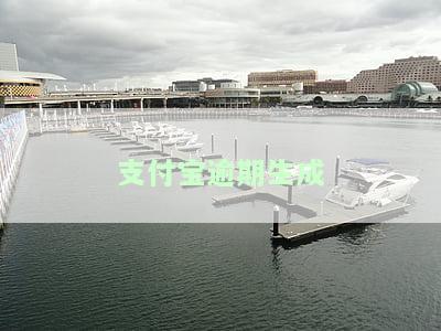 支付宝逾期行为如何修复及快速还款方法
