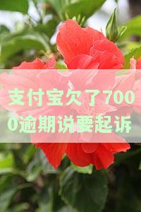 支付宝欠了7000逾期说要起诉我了，怎么办？