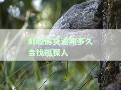邮政房贷逾期多久会找担保人还款及收房处理