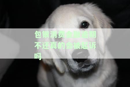 包银消费金融逾期几天会联系通讯录吗，是否安全以及应该如何处理？