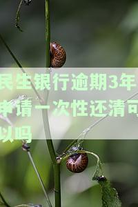 民生银行逾期一年多了能协商还本金吗，怎么办？