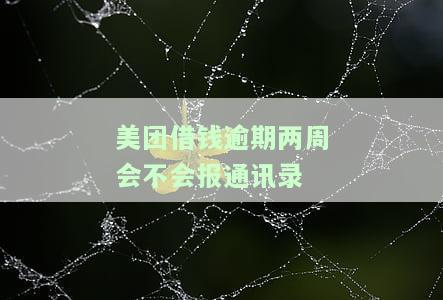 美团借钱逾期两天会不会影响征信记录及报告？
