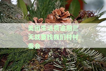 美团生活费逾期3天打电话说要对我采取强制措
