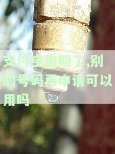 支付宝逾期了,别的号码再申请可以用吗怎么办，还能换一个号吗？