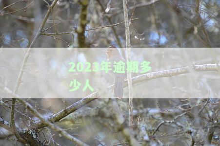 21年逾期23年能贷款买车吗？