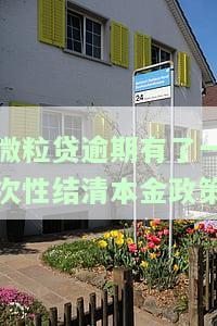 微粒贷逾期一次性还清申请减免