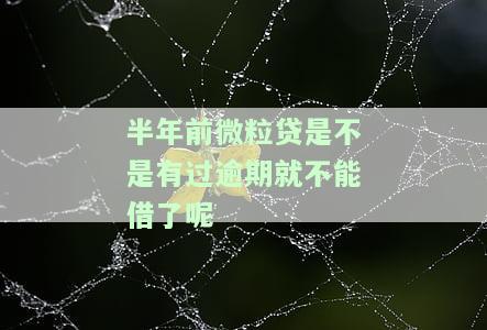 微粒贷逾期半年，内部人员可否恢复原额度？