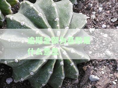 逾期金额计算公式