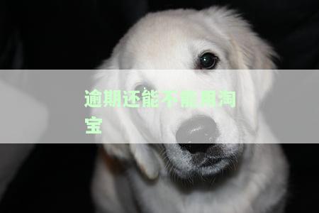 逾期还能不能用淘宝