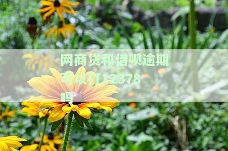 网商贷和借呗逾期可打12378协商吗？安全吗？