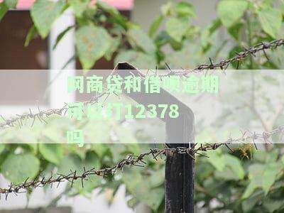 网商贷和借呗逾期会爆通讯录吗？如何应对逾期？