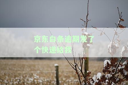 逾期发了个快递给我是真的吗