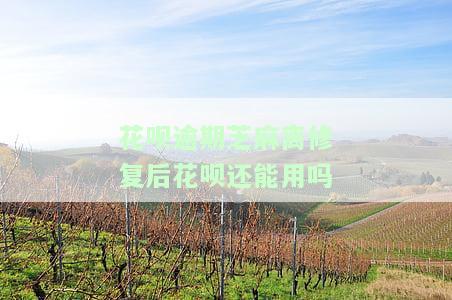 花呗逾期用芝麻粒修复之后，还能使用花呗吗？