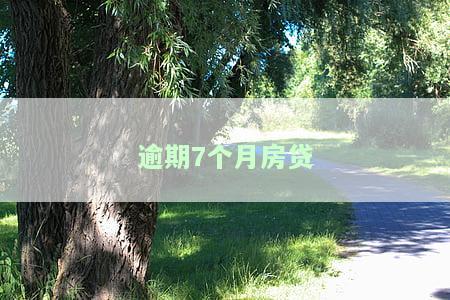 逾期7个月房贷怎么处理