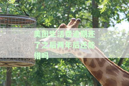 美团生活费逾期后还清逾期后,剩下的还可以分期还吗