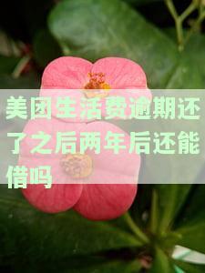 美团生活费逾期还了之后两年后还能借吗