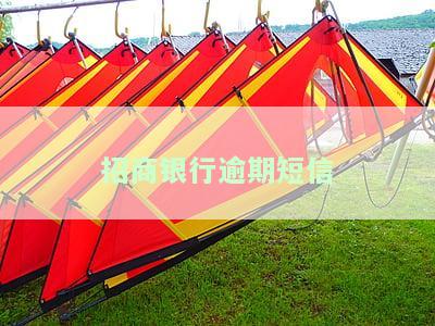 招商银行短信说信用卡逾期，务必关注及时还款