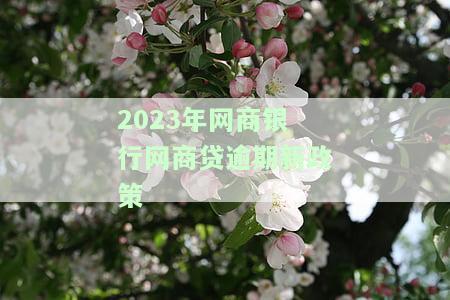 2023年网商银行网商贷逾期新政策是什么